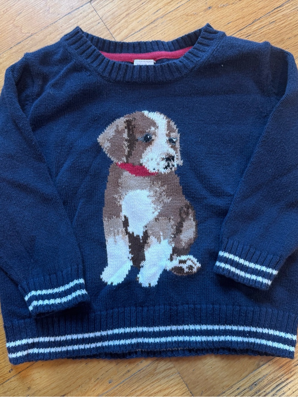 Navy Puppy Sweater
